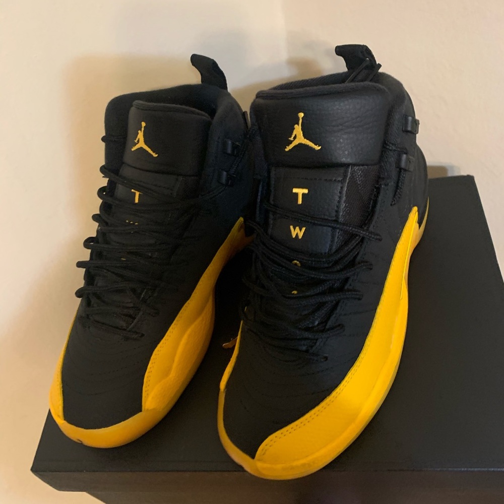 Air Jordan 12 retro